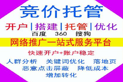百度SEO推广：从零到一的成长案例